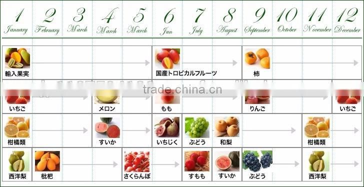 Delicious Komitsu apples from Japanese fresh fruit company