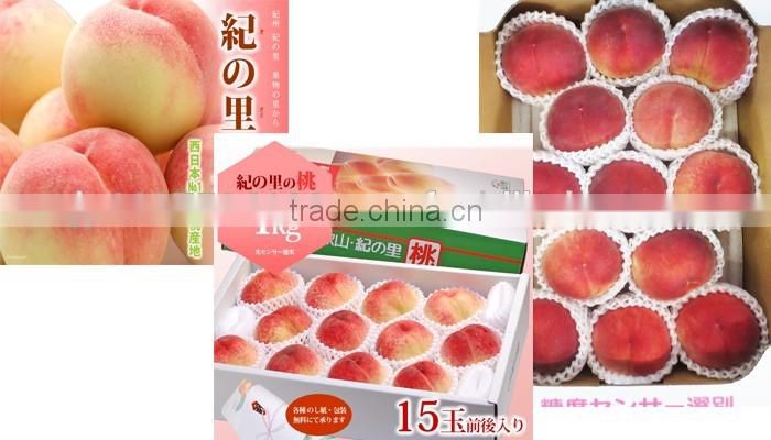 Delicious Komitsu apples from Japanese fresh fruit company