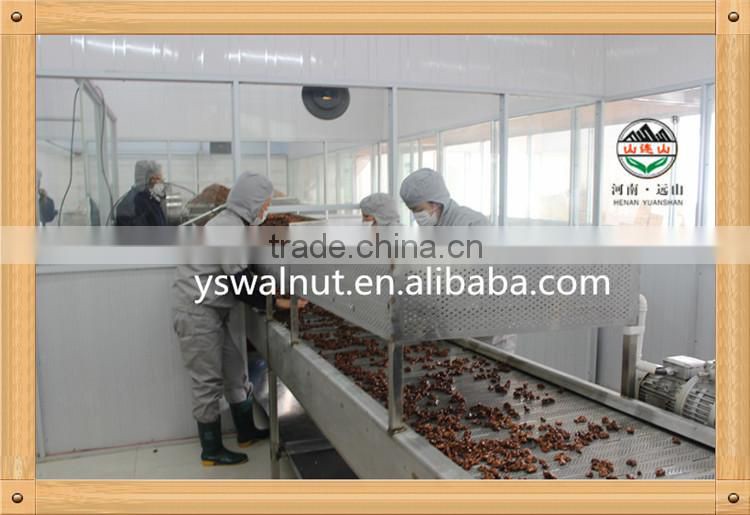 Wholesale 100% Organic Walnut Kernel