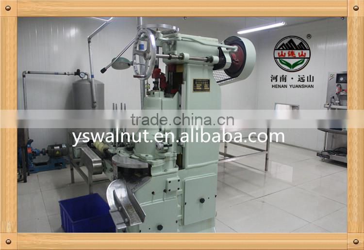 Wholesale 100% Organic Walnut Kernel