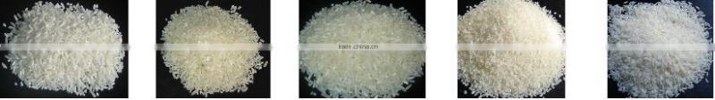 Vietnam shushi rice, round grain rice/ japonica rice - Factory Price