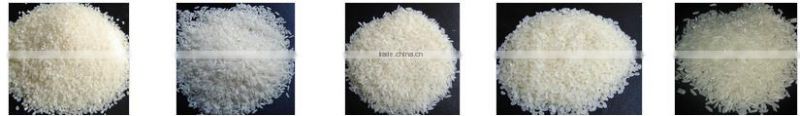 Vietnam shushi rice, round grain rice/ japonica rice - Factory Price