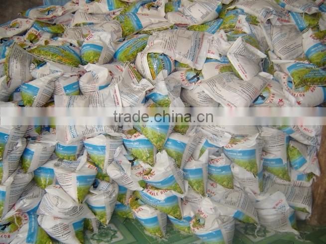 Vietnam shushi rice, round grain rice/ japonica rice - Factory Price