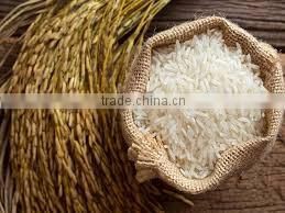 Vietnam shushi rice, round grain rice/ japonica rice - Factory Price
