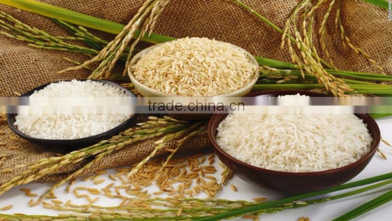 Vietnam shushi rice, round grain rice/ japonica rice - Factory Price