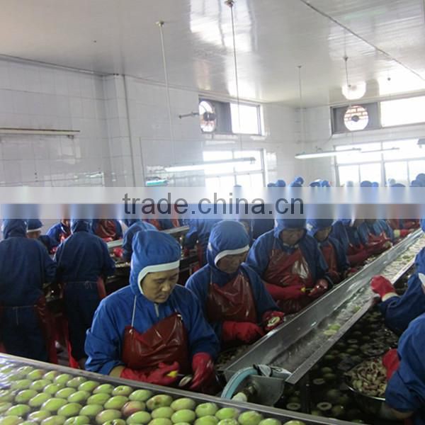 Fresh Canned Yellow Peach In Halves