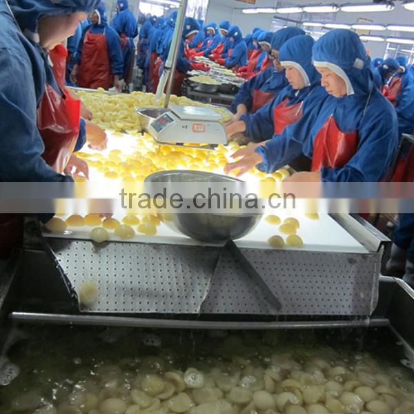 High Quality Canned White Peach In Syrup