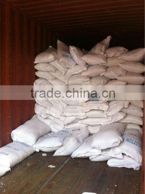COTTON SEED PROTEIN FOR ANIMAL FEEDING