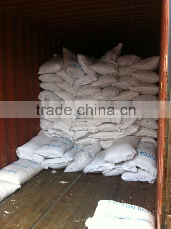 High Quality- Competitive Price- Cotton seed