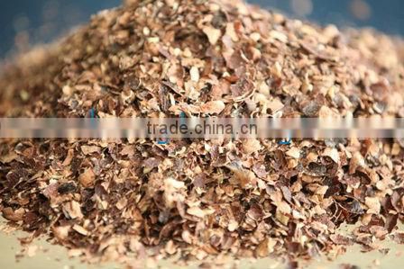 cashew extract shell