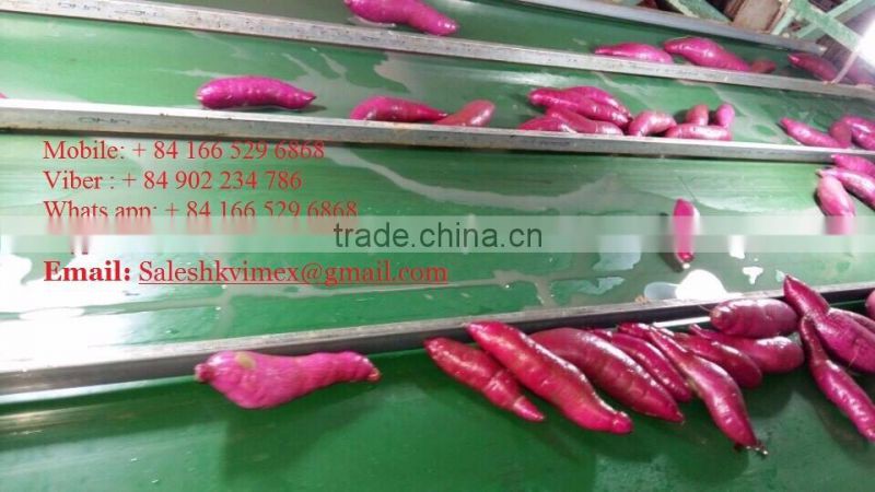 Sweet potato for all market