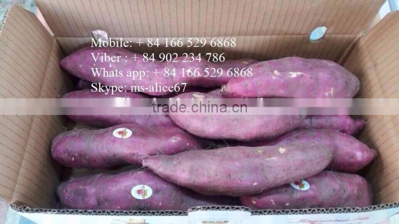 Sweet potato for all market