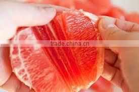 Fresh Pomelo Vietnam
