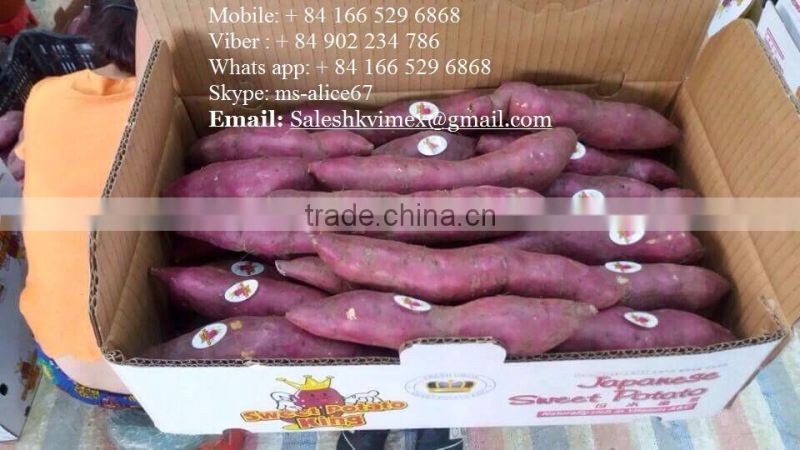 Sweet potato for all market