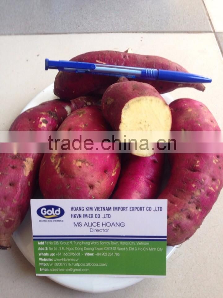Sweet potato for all market