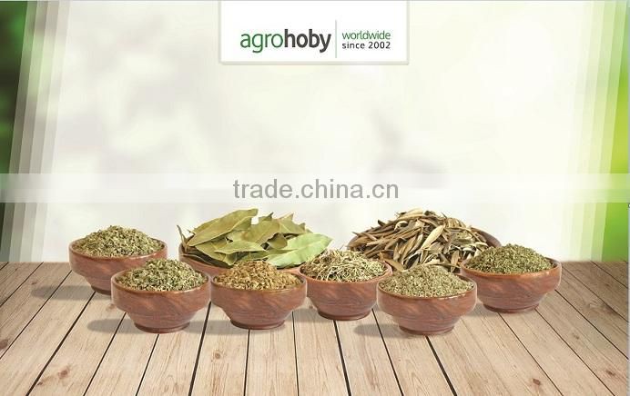 Turkish Rosemary Best Quality Rosemary