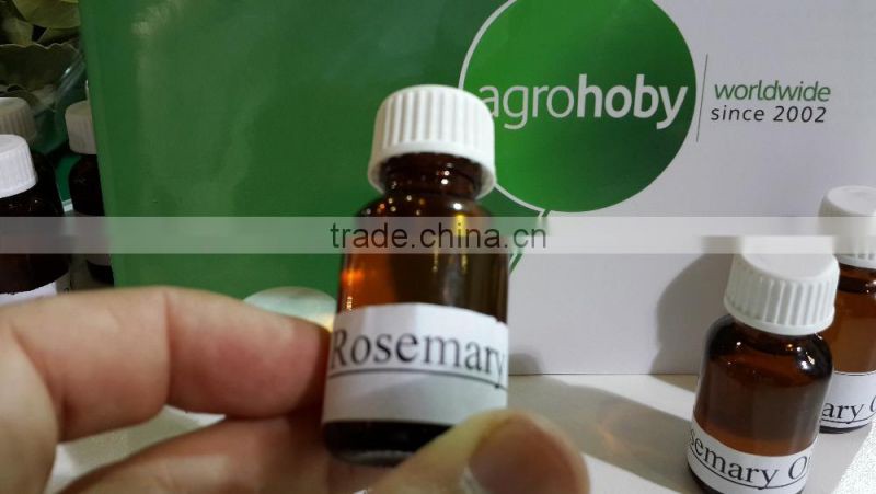 High Quality Rosemary Essential Oil from Turkey ,rosemary price , rosemary export