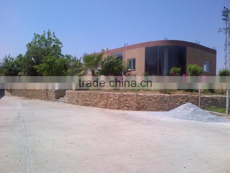 Best Natural Thyme Leaf from Turkey Thyme Price