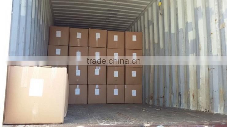 Turkish Rosemary Best Quality Rosemary