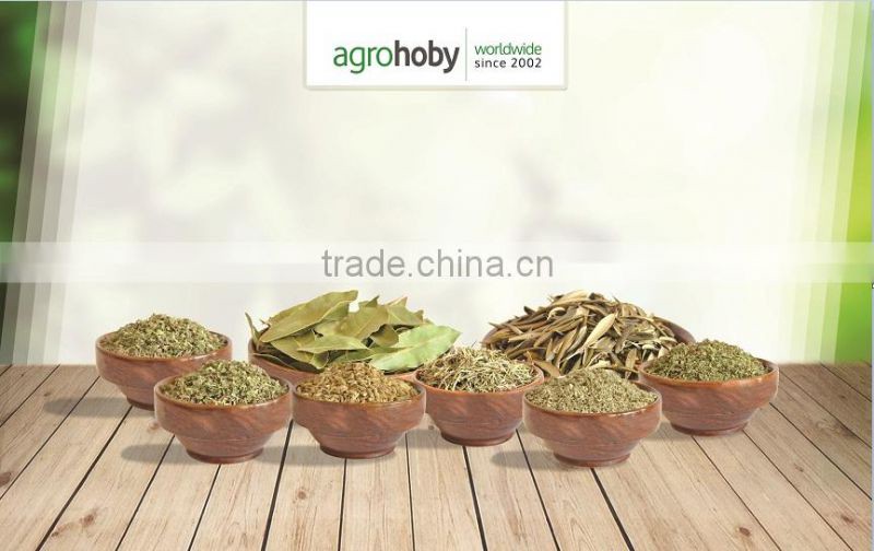 Best Natural Thyme Leaf from Turkey Thyme Price