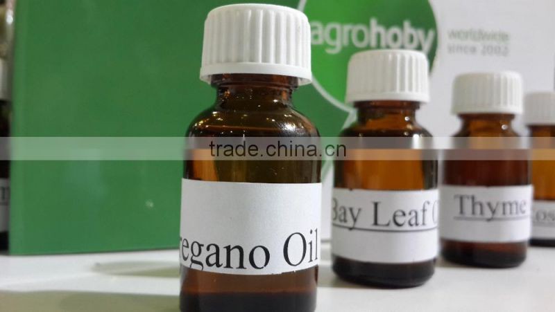 high quality Oregano Essential Oil , turkish essential oil,oregano factory,