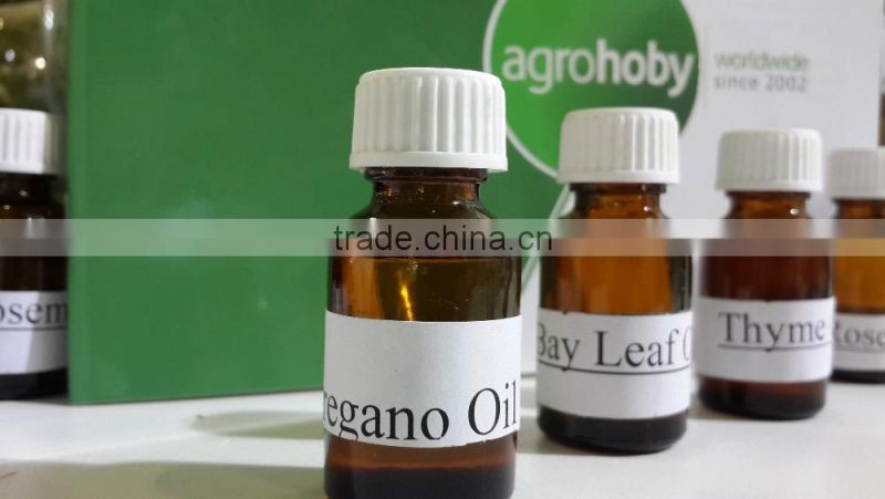 high quality Oregano Essential Oil , turkish essential oil,oregano factory,