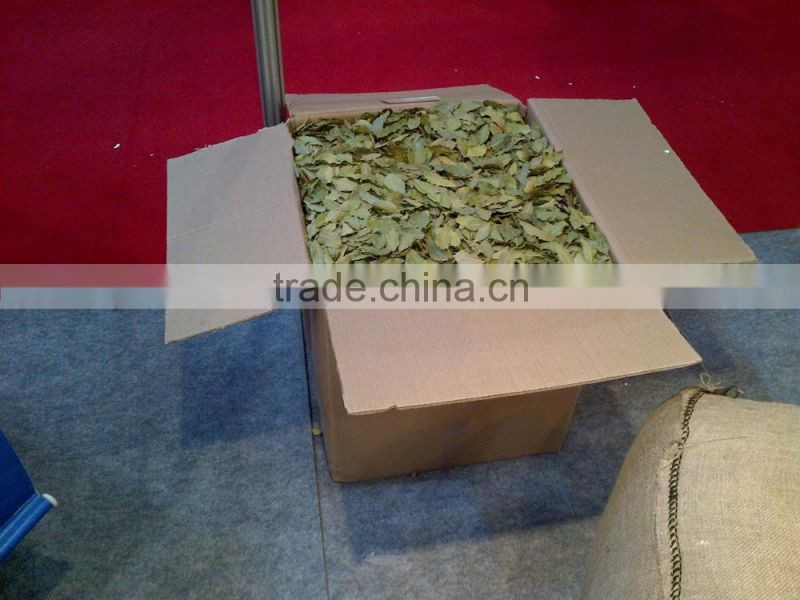 New season Bay Leaurel Leaf Turkish Origin Bay Leaf Bay Leaf