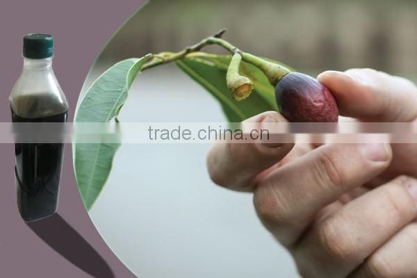 New crop Laurel Berry Oil , bay leaves seed oil ,cold press oil