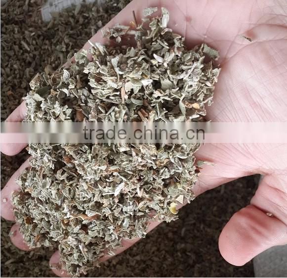 Best Cistus Creticus ,cistus factory , 10kg packing natural rock rose