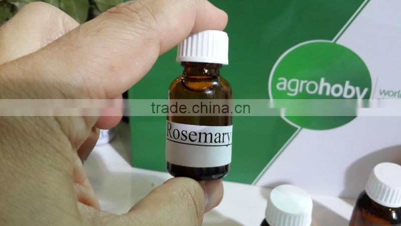 High Quality Rosemary Essential Oil from Turkey ,rosemary price , rosemary export