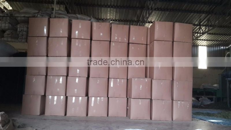 Best Cistus Creticus ,cistus factory , 10kg packing natural rock rose