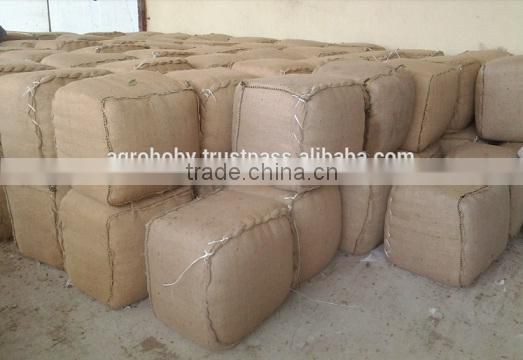 Turkish Rosemary Best Quality Rosemary