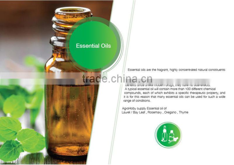 high quality Oregano Essential Oil , turkish essential oil,oregano factory,