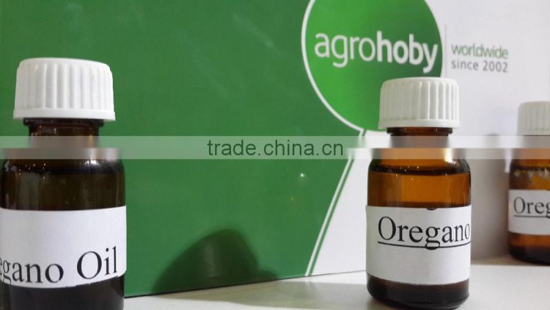 Oregano essential Oils , oregano oil price , Oregano