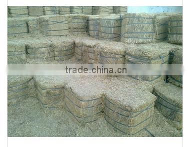 High Quality Mustard Hay