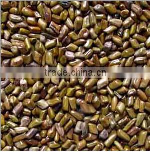 Cassia Tora Seeds