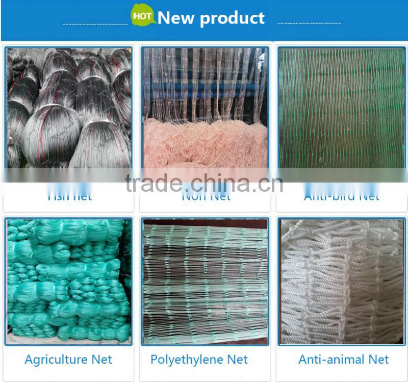 Polyethylene Daisy Net Gardening Net Agriculture climbing nets