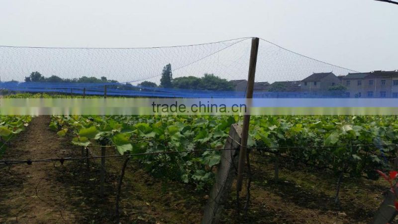 China Supply Polyester Material Agricultural Bird Capture Net