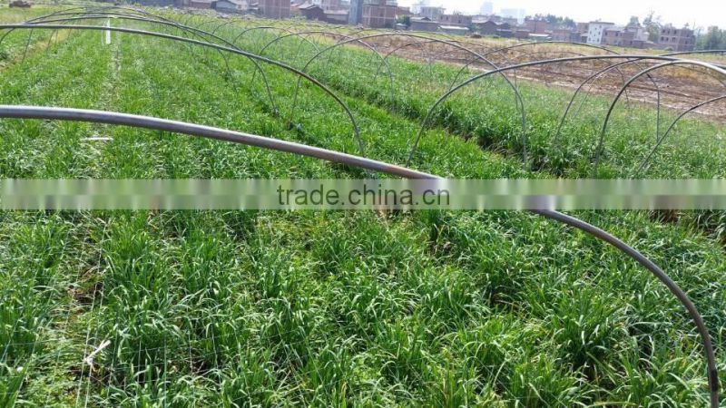 Manufacturers Square Hole Orchards Polyethylene Game Bird Netting