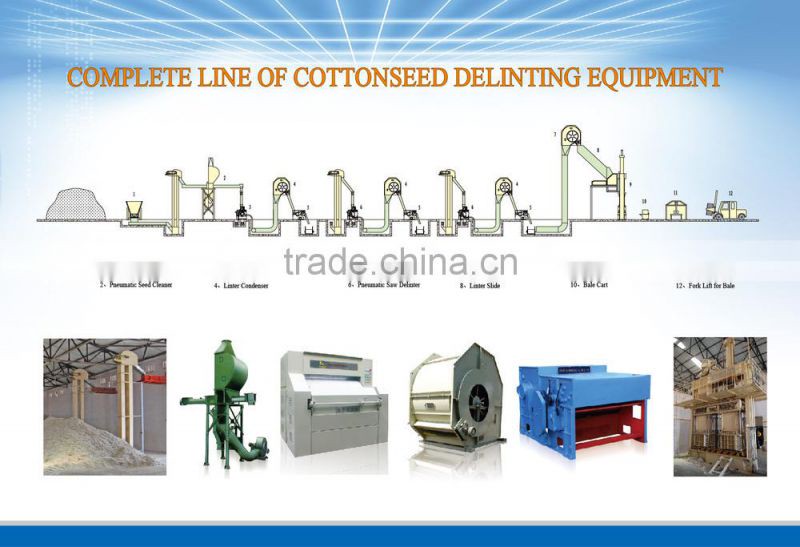 MR 160 Saw Delinting Machine