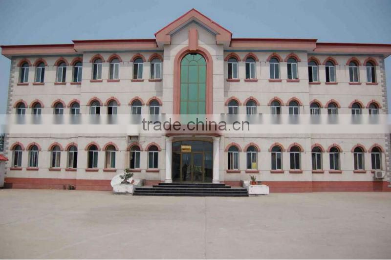 Frozen Vegetable Spring Roll