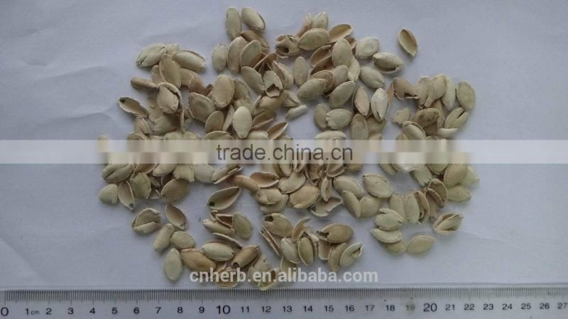 Dried Cushaw seed husk,Squash seed shell,Pumpkin seeds case,Semen cucurbitae,semina,Forage,Fodder,Feed,Feedingstuff,Feedstuff