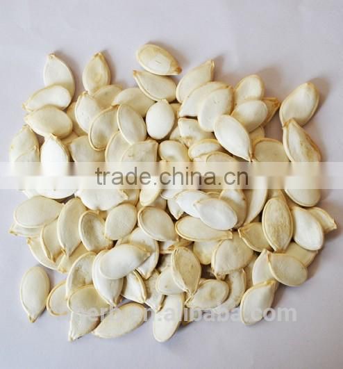 Dried Cushaw seed husk,Squash seed shell,Pumpkin seeds case,Semen cucurbitae,semina,Forage,Fodder,Feed,Feedingstuff,Feedstuff