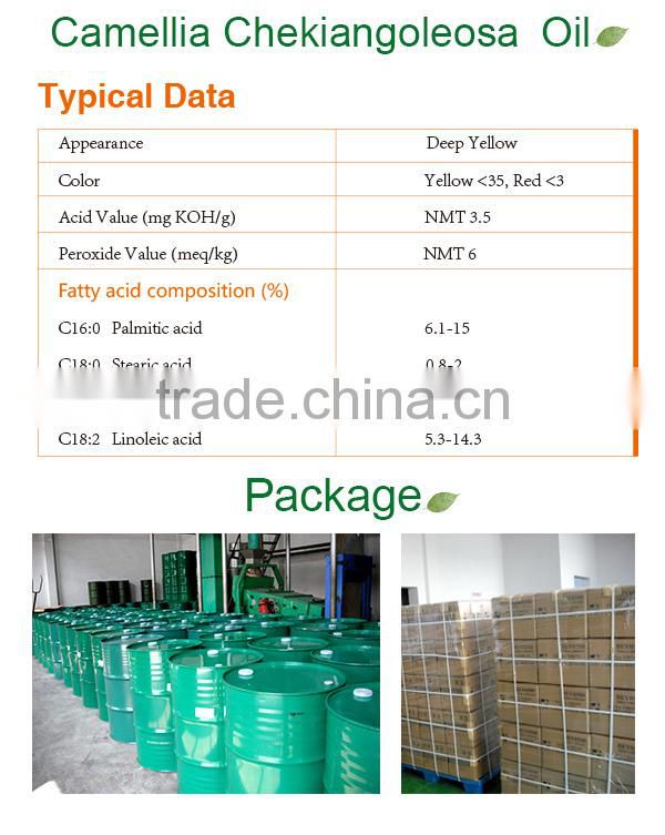 Camellia Chekiangoleosa oil 107 essential oil in cosmetic use