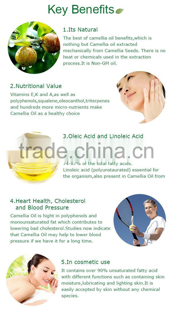 Camellia Chekiangoleosa oil 107 essential oil in cosmetic use