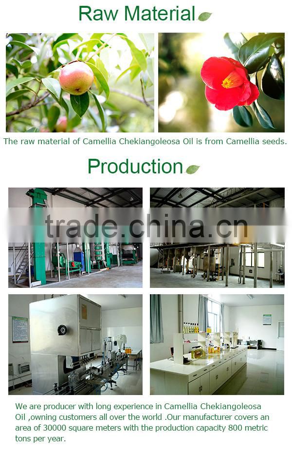 Camellia Chekiangoleosa oil 107 essential oil in cosmetic use