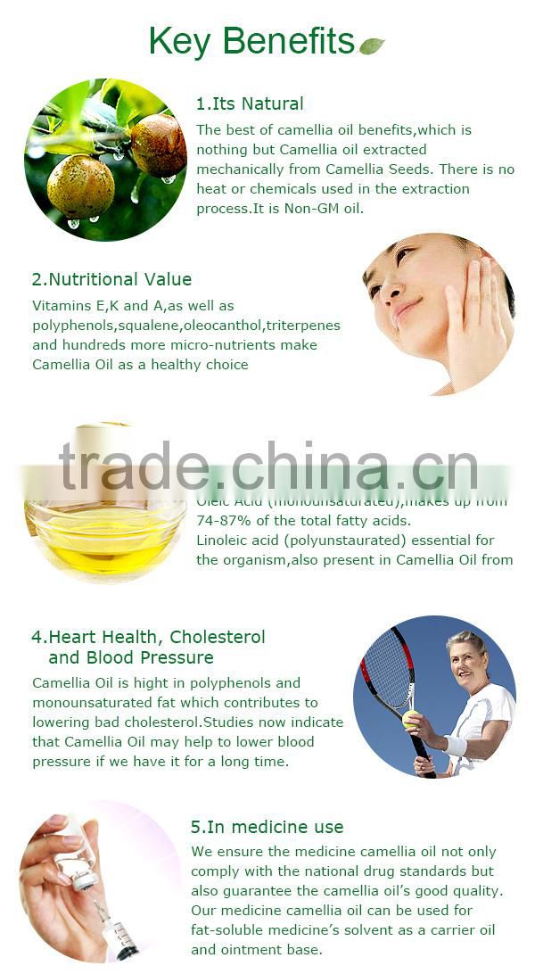 Medicine Camellia Oil 104