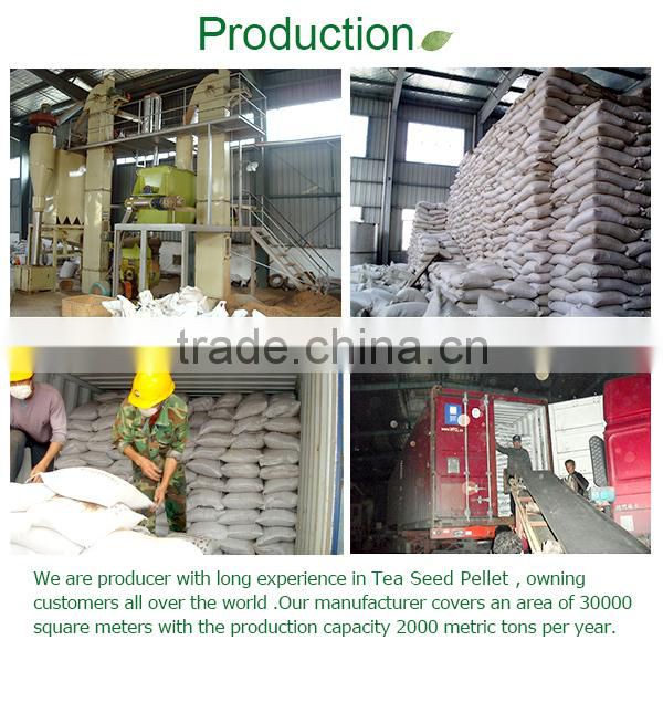 oil seed meal,tea seed powder for Cleaning unwanted fishes in shrimp farming