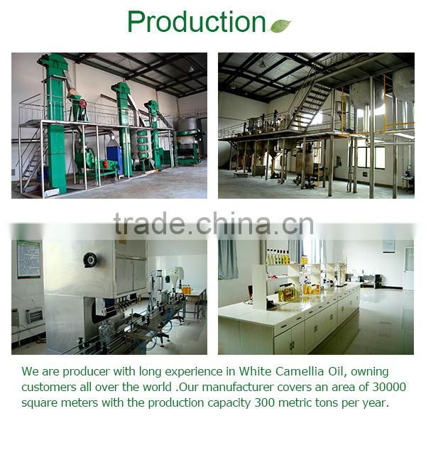 Medicine Camellia Oil 104