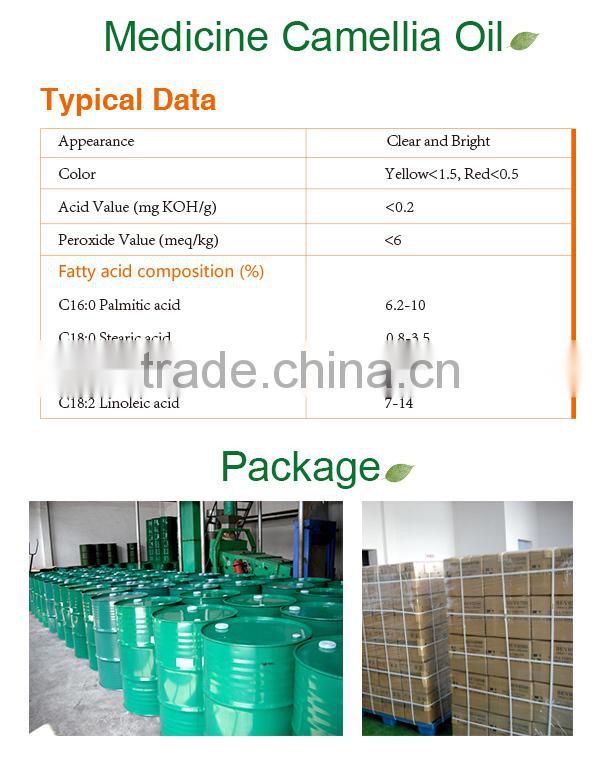 Medicine Camellia Oil 104